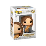 Funko Pop! &Buddy: Harry Potter Prisoner of Azkaban - Hermione Granger with Crookshanks