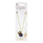 Harry Potter: Necklace & Charm "Chocolate frog" (silver plated) - EWNX0157