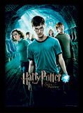 Harry Potter (Order Of The Phoenix) Wooden Framed 30 x 40cm Print - FP10687P