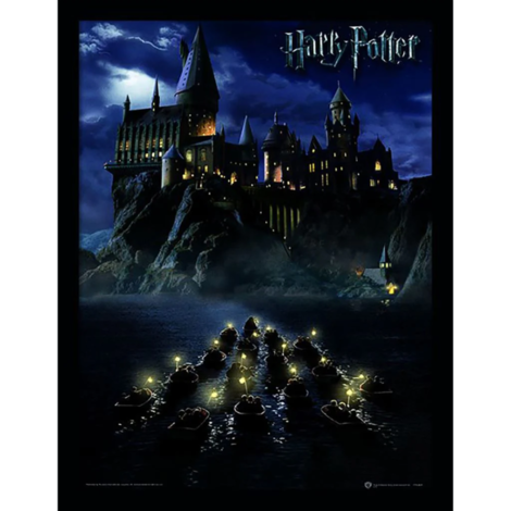 Harry Potter (Hogwarts School) Wooden Framed Print (30x40) - FP11080P