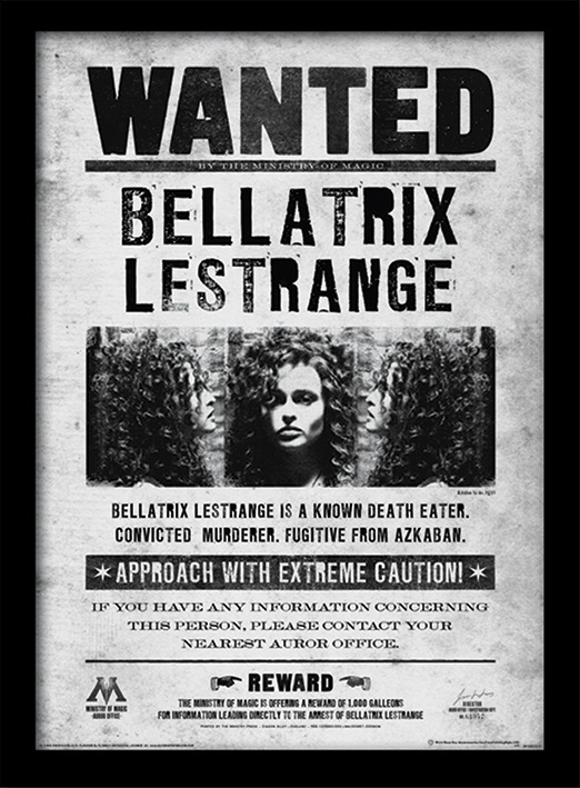 Harry Potter (Bellatrix Wanted) Wooden Framed 30 x 40cm Print - FP10612P