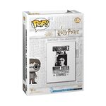 Funko Pop! Display Case: Harry Potter - Harry Wanted Poster (Special Edition) #175 Vinyl Figure