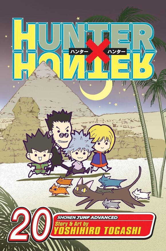 Hunter X Hunter Vol. 20: Weakness