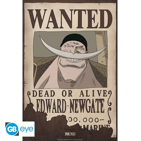 One Piece - Poster Chibi 52x35 - Wanted Whitebeard* - ABYDCO370