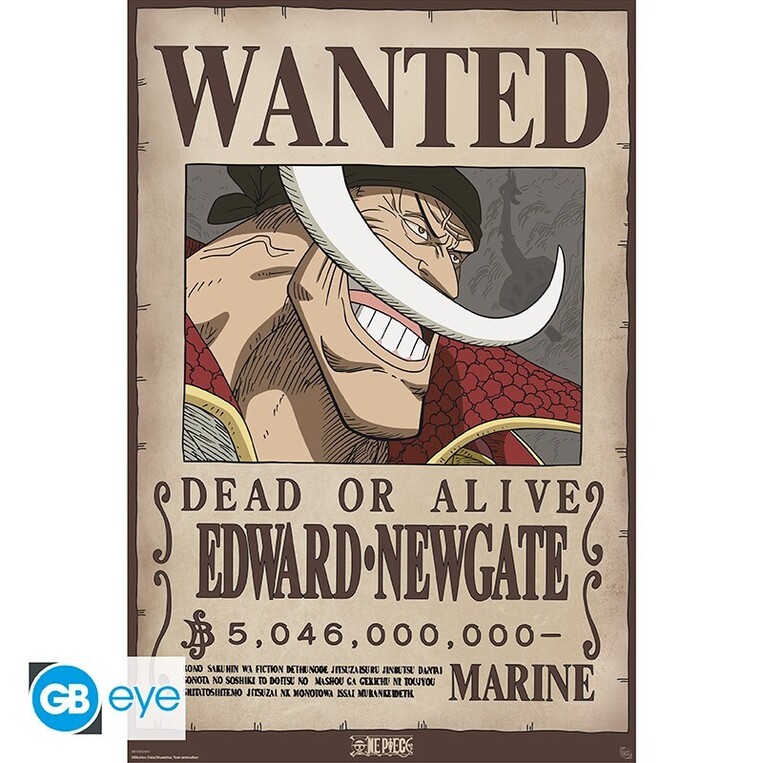 One Piece - Poster Maxi 91.5x61 - Wanted Whitebeard - GBYDCO596