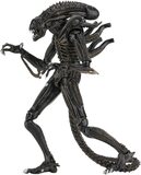 Alien Warrior Brown (1986) Action Figure 1/10 Scale Ultimate - NECA51683