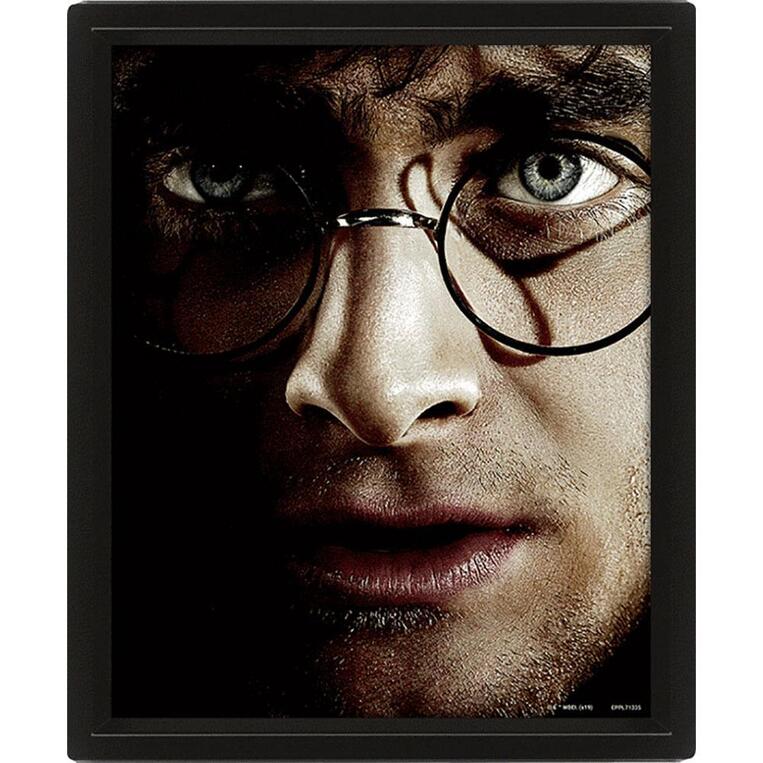 Harry Potter (Harry VS Voldemort) 26 x 4cm 3D Lenticular Poster (Framed) - EPPL71335