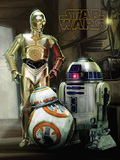 Star Wars (Droids) Canvas Print 30 x 40cm - WDC12125