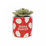 Disney Lilo & Stitch Plant Pot Faux Boxed 6.5 Cm - PLNTFDC03