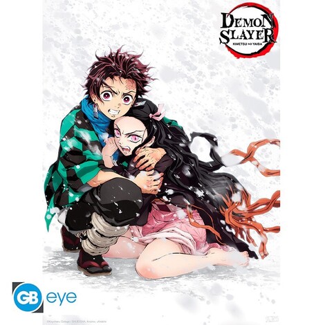 Demon Slayer - Poster Maxi 91.5x61 - Tanjiro & Nezuko Snow - ABYDCO800