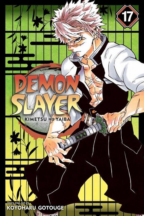 Demon Slayer: Kimetsu no Yaiba, Vol. 17